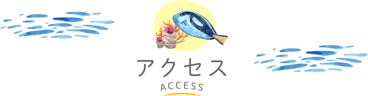 アクセス